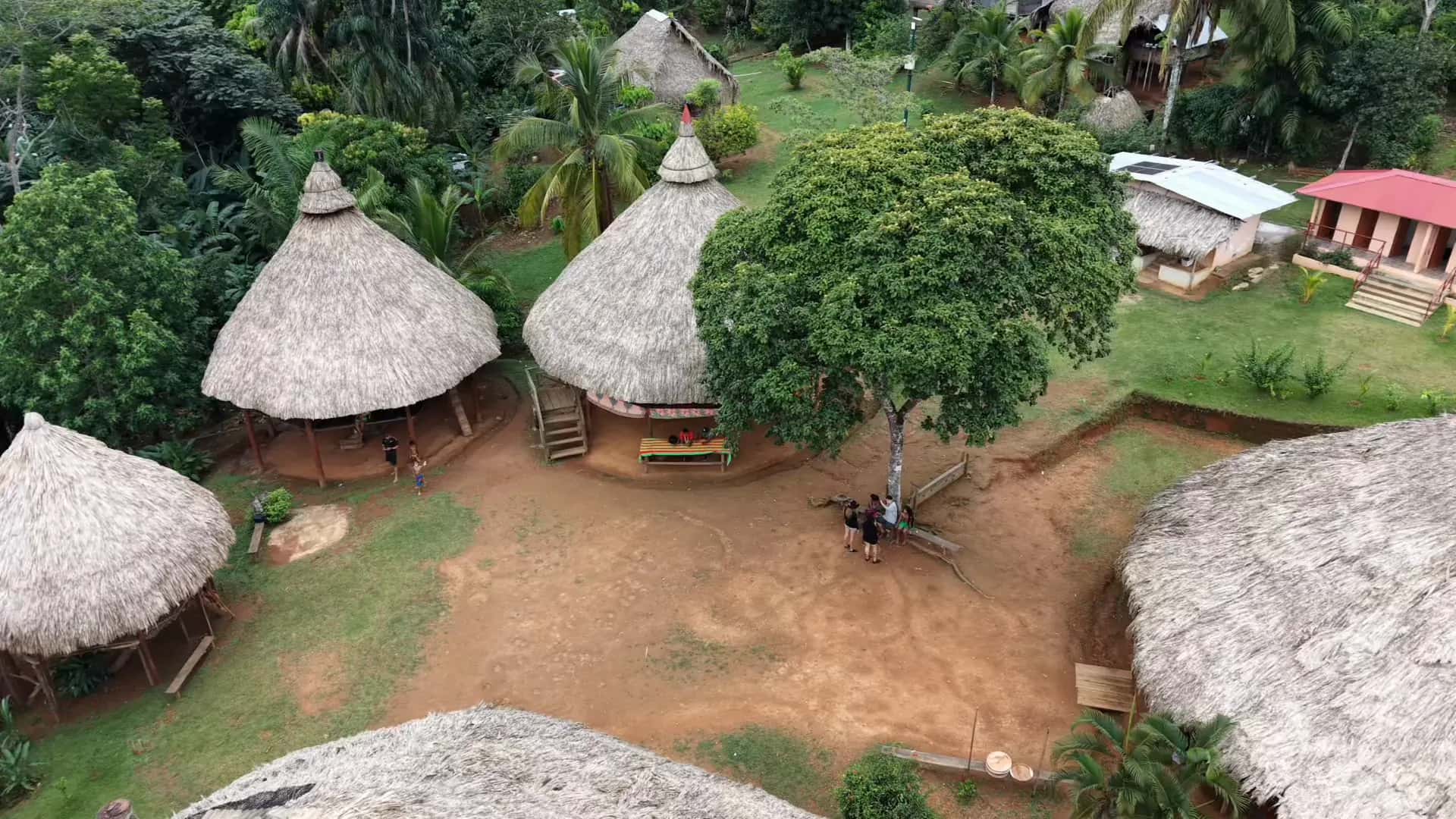 Thatched huts of an Emberá village in the Panama rainforest, seen from above